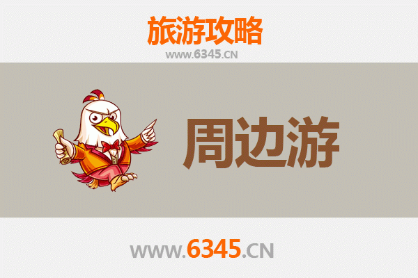 白沙金波乡周边游全攻略：热带雨林与黎族文化的深度体验